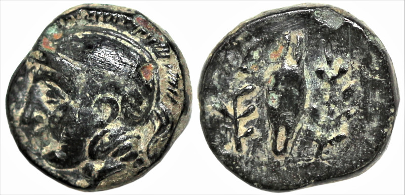 Greek
AIOLIS. Elaia. (Circa 340-300 BC).
AE Bronze (16.5mm 0.71g)
Obv: Helmet...