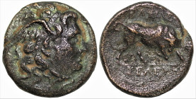 Greek
SELEUKID KINGDOM. Seleukos I Nikator (312-281 BC). Antioch.
AE Bronze (16.5mm 5.97g)
Obv: Winged head of Medusa right.
Rev: BAΣIΛEΩΣ ΣEΛEYKO...