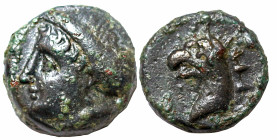 Greek
IONIA. Phokaia. (Circa 300 BC).
AE Bronze (9.3mm 2.02g)
Obv: Female head (Aphrodite?) left, with hair in sphendone.
Rev: Head of griffin lef...