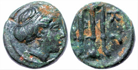 Greek
MYSIA. Kyzikos. (3rd century BC)
AE Bronze (8.9mm 1.21g)
Obv: Head of Kore Soteira right, hair bound in sakkos
Rev: Tripod; tunny below.
Vo...