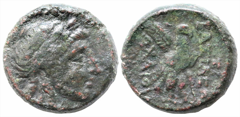 Greek
SELEUKID KINGDOM. Achaios, usurper (220-214 BC). Sardes.
AE Bronze (15.4...