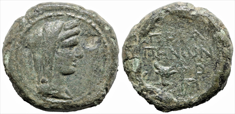 Greek
MYSIA. Priapos. (1st century BC).
AE Bronze (17.5mm 8.07g)
Obv: Draped ...
