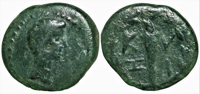 Roman Provincial
MYSIA. Kyzikos. Augustus (27 BC-14 AD)
AE Bronze (15mm 3.95g)...