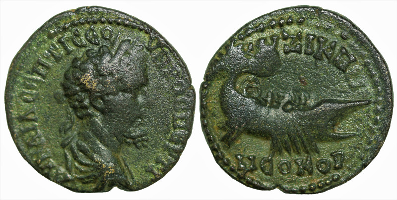 Roman Provincial
MYSIA. Kyzikos. Septimius Severus (193-211 AD)
AE Bronze (23....