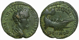 Roman Provincial
MYSIA. Kyzikos. Septimius Severus (193-211 AD)
AE Bronze (23.8 mm 9.02g)
Obv: AY KAI Λ CEΠTI CEOYHPOC ΠEPTI Laureate, draped and c...