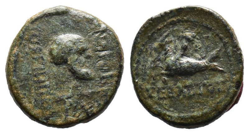(Bronze, 2.49g 15mm)

CARIA. Trapezopolis. Augustus (27 BC-14 AD). Ae. Androni...