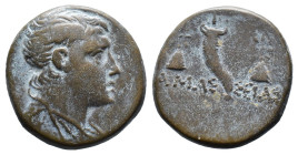 (Bronze, 4.16g 17mm)

Amaseia (BC 120-63) AE 17