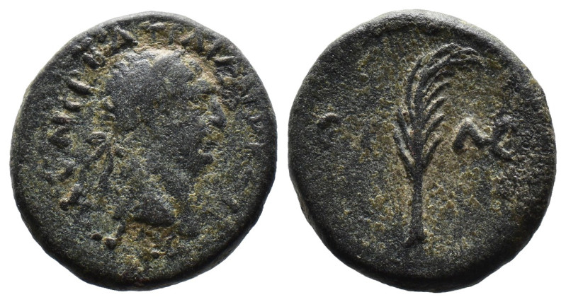 (Bronze, 5.23g 19mm)

Trajan (117-138). AE
Laureate head right.
Rev: Palm br...