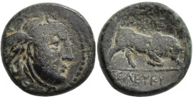 Syrien - Seleukiden: Nikator 312-281: Kleinbronze Münze, 6,33 g. Medusakopf nach rechts Stier nach rechts stoßend, darunter (Σ)ΕΛΕΥΚΥ, oberes Monogram...
