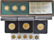 Deutschland: Kleines Lot bestehend aus 3 x 100 Euro und 8 x 20 Euro Gold-Gedenkmünzen der BRD.
 [zzgl. 0 % MwSt.]