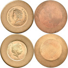Proben & Verprägungen: Cook Inseln: Kleines Lot mit 2 x einseitiger Messing Abschlag / Rohling / Probeprägung vermutlich zur 5 Cents 2000 FAO, Revers ...