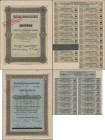 Deutschland, Deutsche Togogesellschaft, Lot 3 Anteilscheine über 1.000 Mark 1923, 10.000 Mark 1923 und 10.000 Mark 1924, Umgestellt auf 100 RM bzw. 20...