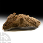 Natural History - Three-Dimensional Mosasaur Skull with Vertebrae
