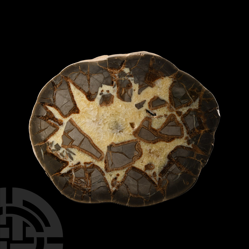 Natural History - Very Large Septarian Cut and Polished 'Alien Egg' Geode Half
...