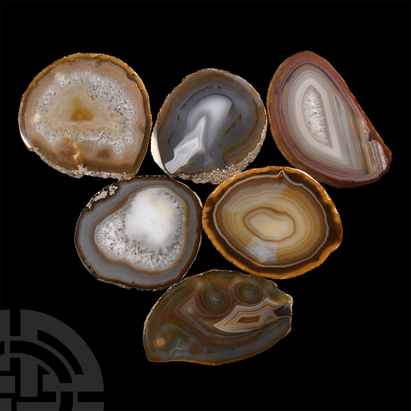 Natural History - Cut and Polished Agate Crystal Geode Section Slice Group
A gr...