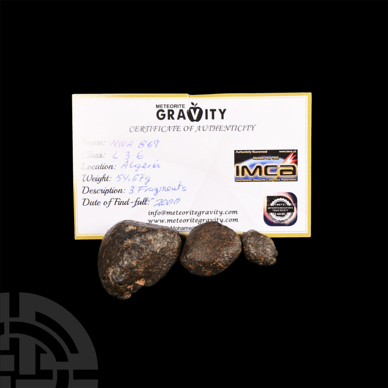 Natural History - Algerian NWA 869 Meteorite Collection
Found 2000 A.D. A group...