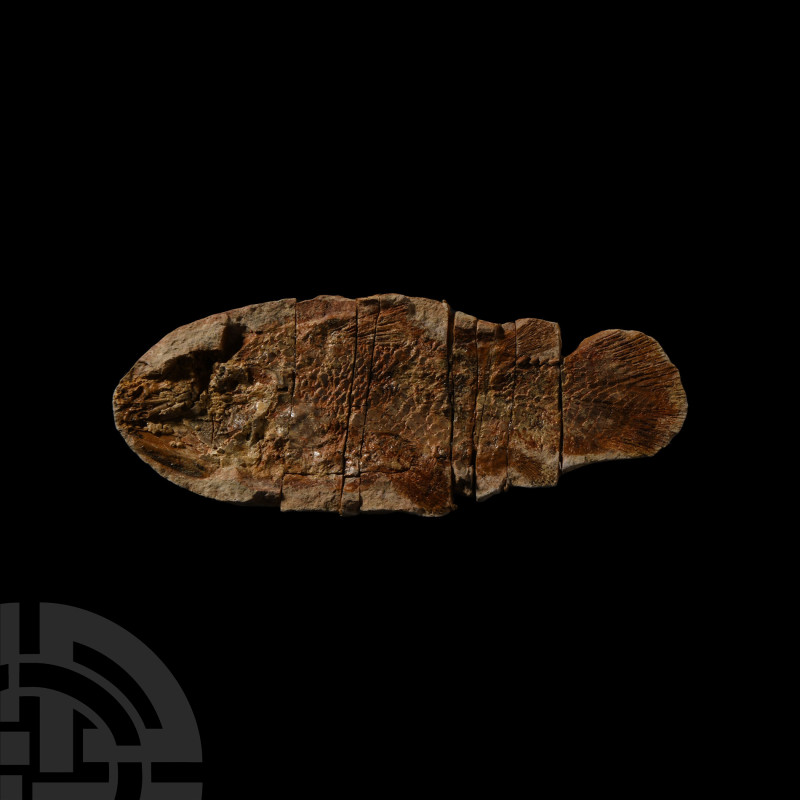 Natural History - Coelacanth Fossil Fish
Triassic Period, circa 247 million yea...