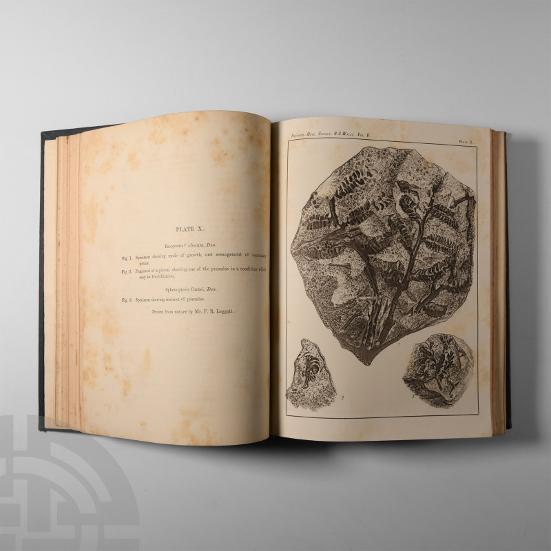 Natural History Books - Dept of Mines and Agriculture - Records of the Geologica...