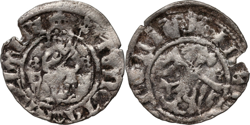 Kazimierz III Wielki 1333-1370, półgrosz, Kraków Waga 1,04 g. Wyszczerbiony krąż...