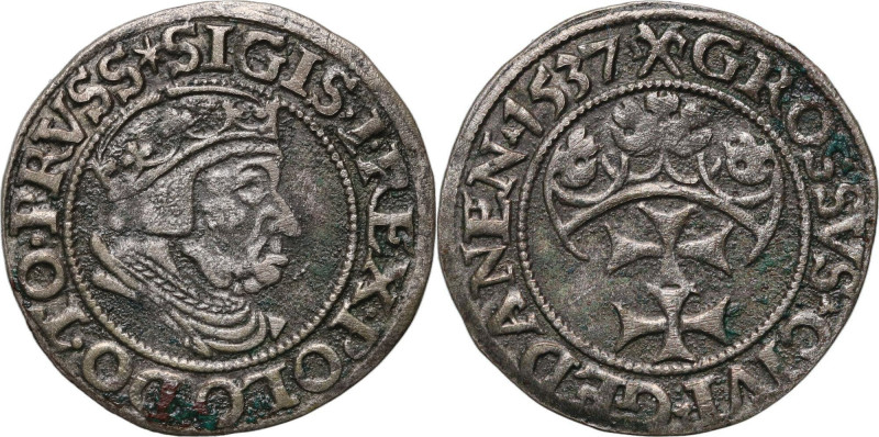 Zygmunt I Stary, grosz 1537, Gdańsk Rzadki rocznik. Reference: Kopicki 7330 (R3)...