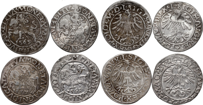 Zygmunt II August, zestaw 4 x półgrosz z lat 1557-1565, Wilno 
Grade: VF/XF 
...