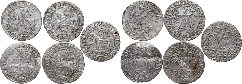 Zygmunt II August, zestaw 5 x półgrosz z lat 1548-1558, Wilno 
Grade: XF+/AU 
...