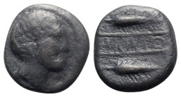 Spain, Carmo, early 1st century BC. Æ Unit - As (25mm, 12.30g, 6h). Male head r. R/ CARMO between grain ear r. above and below. CNH 24; SNG BM Spain 1...