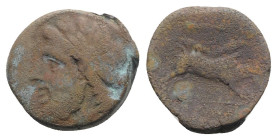 Northern Apulia, Arpi, 3rd century BC. Æ (21mm, 7.87g, 3h). Laureate head of Zeus l. R/ Boar r.; spear above. HNItaly 642; SNG ANS 635-8. Good Fine / ...