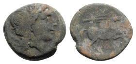 Northern Apulia, Salapia, c. 225-210 BC. Æ (19mm, 5.83g, 11h). Poullos, magistrate. Laureate head of Apollo r. R/ Horse prancing r.; trident above. HN...