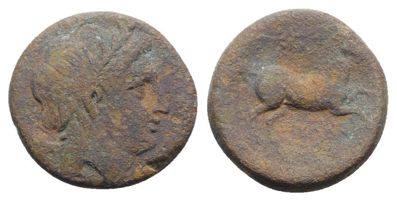 Northern Apulia, Salapia, c. 225-210 BC. Æ (21mm, 8.03g, 9h). Laureate head of A...