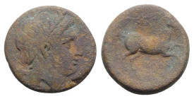 Northern Apulia, Salapia, c. 225-210 BC. Æ (21mm, 8.03g, 9h). Laureate head of Apollo r. R/ Horse prancing r.; star above. HNItaly 692c; SNG Copenhage...