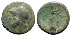 Bruttium, The Brettii, c. 208-203 BC. Æ Double Unit – Didrachm (26mm, 13.79g, 1h). Helmeted head of Ares l. R/ Athena advancing r., holding shield; sp...