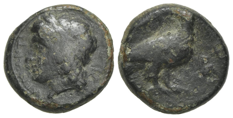 Sicily, Akragas. Phintias (287-279 BC). Æ (13mm, 3.02g, 11h). Laureate head of A...