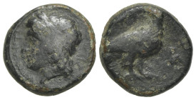 Sicily, Akragas. Phintias (287-279 BC). Æ (13mm, 3.02g, 11h). Laureate head of Apollo l. R/ Eagle standing r., looking back. CNS I, 119; SNG ANS 1125-...