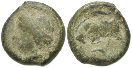 Sicily, Syracuse. Agathokles (317-289 BC). Æ Hemilitron (22mm, 11.66g, 11h), c. 317-310. Head of Kore l., wearing wreath of grain ears; torch behind. ...