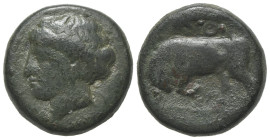 Sicily, Syracuse. Agathokles (317-289 BC). Æ Trias(?) (14mm, 3.38g, 9h), c. 317-310 BC. Head of Kore l. R/ Bull butting l.; dolphin and Θ above. CNS I...