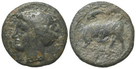 Sicily, Syracuse. Agathokles (317-289 BC). Æ (15.5mm, 2.68g, 3h), c. 317-310. Head of Arethusa l.; leaf behind. R/ Bull butting l.; dolphin above. HGC...