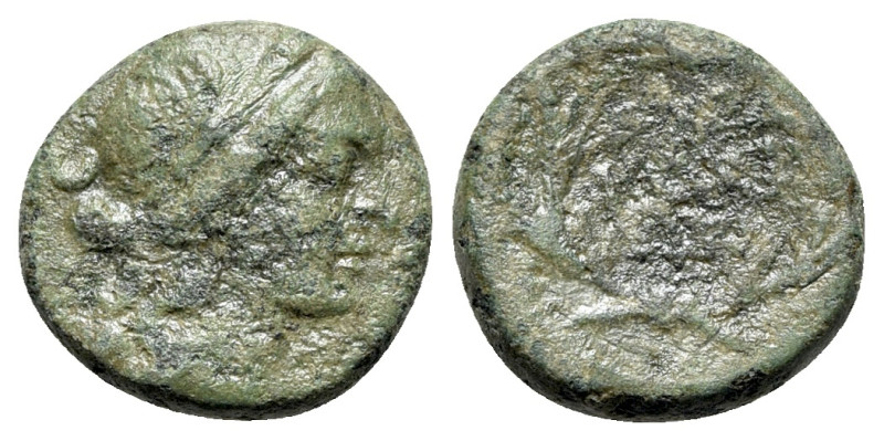 Sicily, Syracuse. Roman rule, after 212 BC. Æ (14mm, 2.95g, 12h). Wreathed head ...