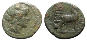 Macedon, Thessalonica, c. 187-31 BC. Æ (19mm, 5.11g, 12h). Head of young Dionysos r., wreathed in ivy. R/ Goat standing r. SNG ANS 800. Good Fine