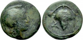 UNCERTAIN. Ae (Circa 3rd-2nd centuries).