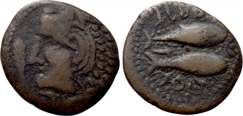 IBERIA. Gadir. Ae Half Unit (Early 1st century BC). 

Obv: Head of Melqart lef...