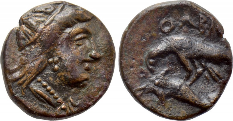 SKYTHIA. Olbia. Ae (Circa 380-360 BC). 

Obv: Head of Demeter right, wearing g...