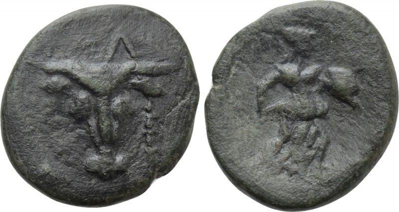PHOKIS. Elateia. Ae (2nd century BC). 

Obv: ΕΛ. 
Facing head of bull, wearin...