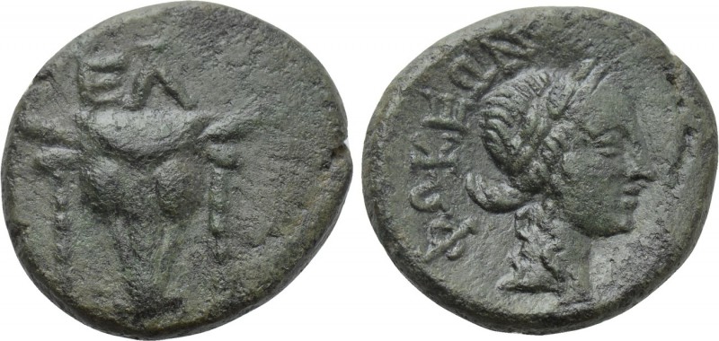 PHOKIS. Elateia. Ae (3rd-2nd centuries BC). 

Obv: ΕΛ. 
Facing head of bull, ...