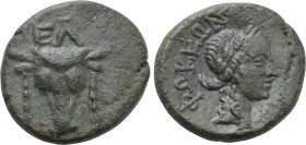 PHOKIS. Elateia. Ae (3rd-2nd centuries BC).