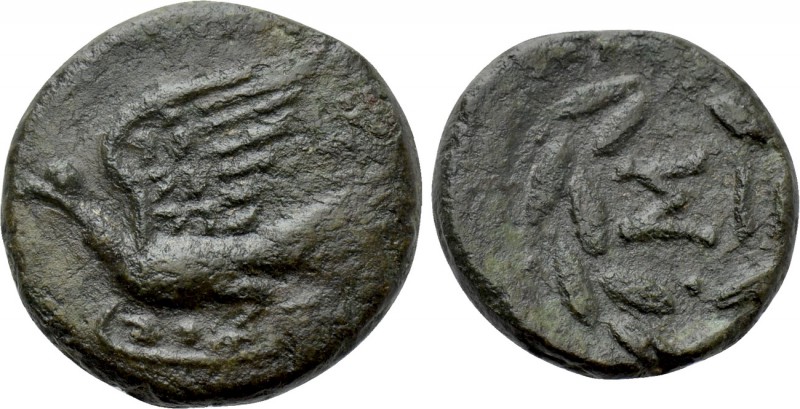 SIKYONIA. Sikyon. Ae Chalkous (Circa 330-270 BC). 

Obv: Dove flying left.
Re...