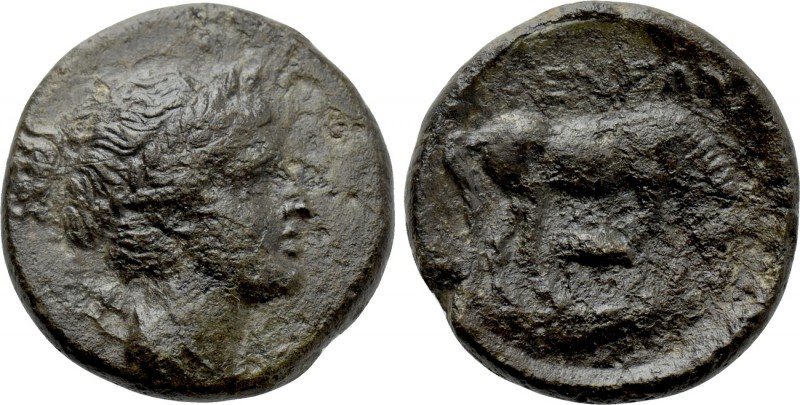 ARKADIA. Pheneos. Ae Dichalkon (Circa 300-240 BC). 

Obv: Laureate and draped ...