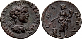 MYSIA. Parium. Severus Alexander (222-235). Ae.