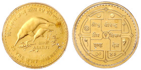 Ausländische Goldmünzen und -medaillen - Nepal - Monarchie
Tola Asarfi 1986. 25 Jahre WWF. Ganges Delfine. 11,66 g. 900/1000. Aufl. nur 5000 Ex. Poli...