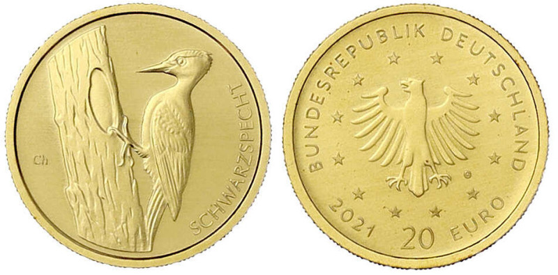 Goldmünzen der Bundesrepublik Deutschland - Euro, ab 2002 - 
20 Euro Schwarzspe...